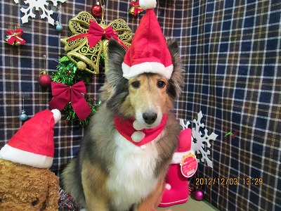 ファイル 5573-1.jpg