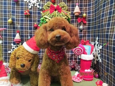 ファイル 5574-2.jpg