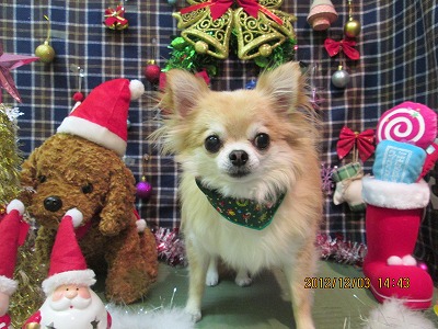 ファイル 5575-2.jpg