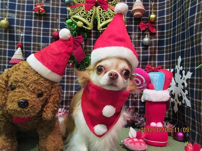 ファイル 5576-1.jpg