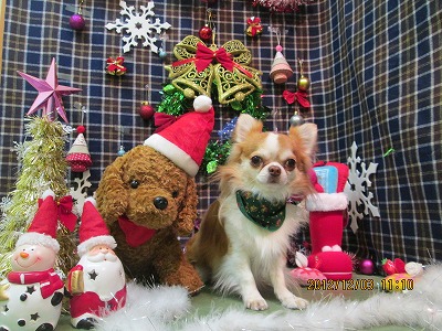 ファイル 5576-2.jpg