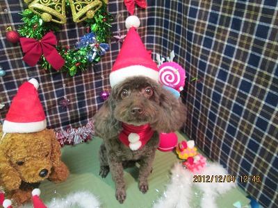 ファイル 5577-2.jpg