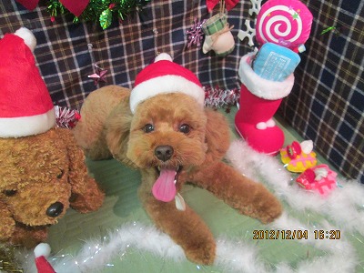 ファイル 5578-2.jpg