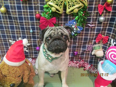 ファイル 5579-1.jpg