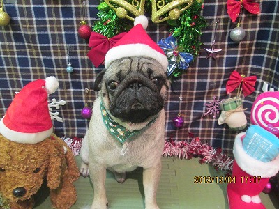 ファイル 5579-2.jpg