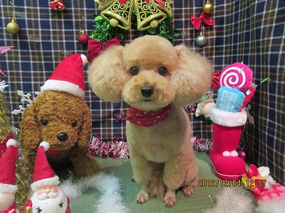 ファイル 5580-1.jpg