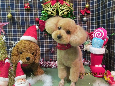 ファイル 5580-2.jpg