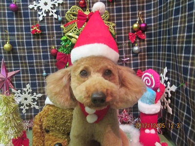 ファイル 5583-1.jpg