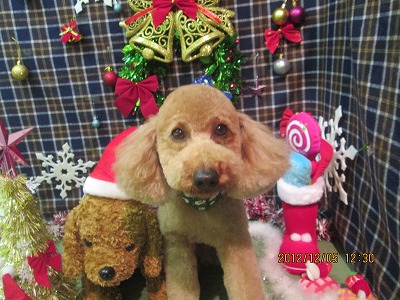 ファイル 5583-2.jpg