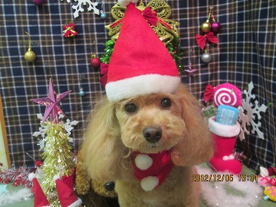 ファイル 5584-1.jpg