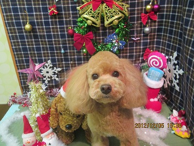 ファイル 5584-2.jpg