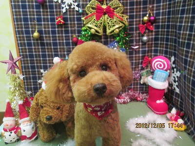 ファイル 5585-2.jpg