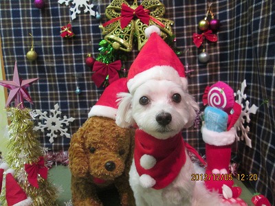 ファイル 5586-2.jpg