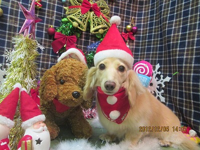 ファイル 5587-1.jpg