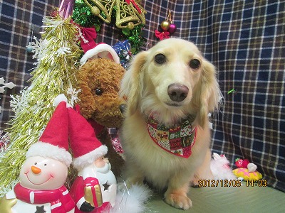 ファイル 5587-2.jpg