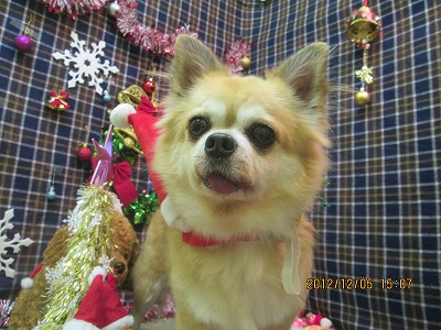 ファイル 5588-1.jpg