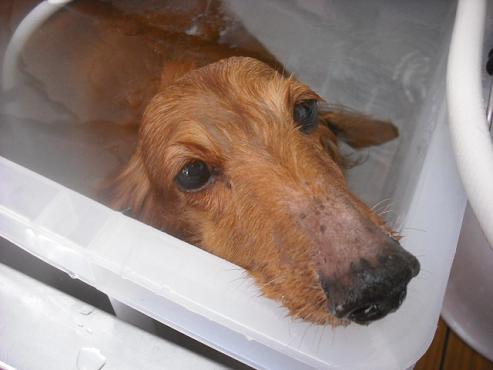 ファイル 559-2.jpg