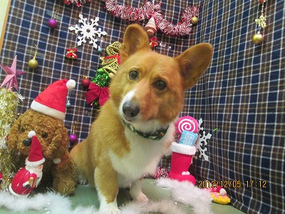 ファイル 5590-1.jpg