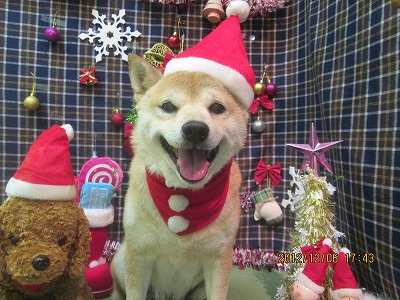 ファイル 5593-2.jpg