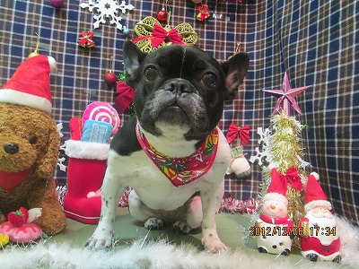 ファイル 5594-1.jpg