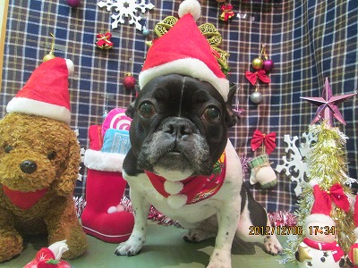 ファイル 5594-2.jpg