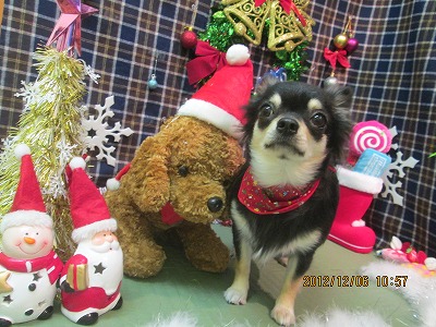 ファイル 5595-2.jpg