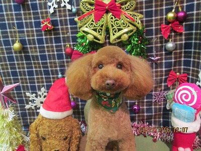 ファイル 5597-1.jpg