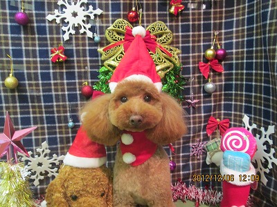 ファイル 5597-2.jpg