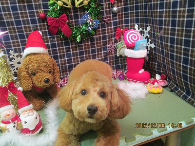 ファイル 5598-1.jpg