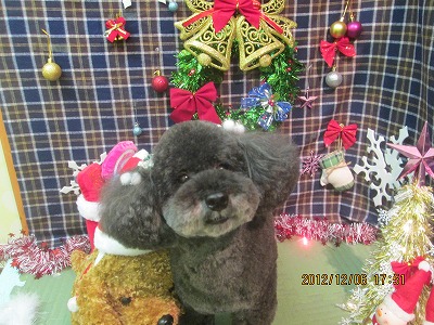 ファイル 5599-3.jpg