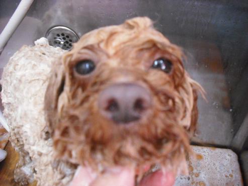 ファイル 56-2.jpg