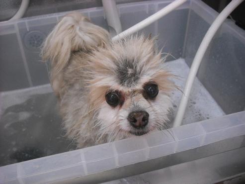 ファイル 560-2.jpg