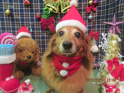 ファイル 5601-1.jpg