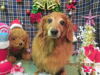 ファイル 5601-2.jpg