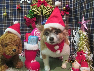 ファイル 5603-2.jpg