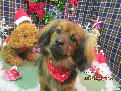 ファイル 5604-2.jpg