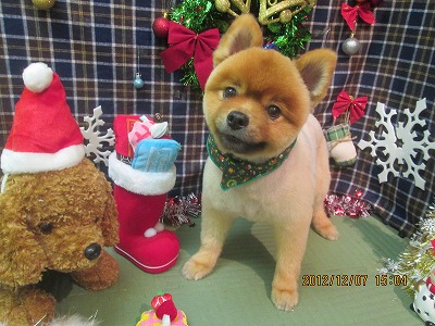 ファイル 5605-2.jpg