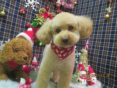 ファイル 5606-1.jpg