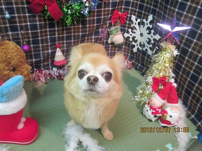 ファイル 5608-2.jpg