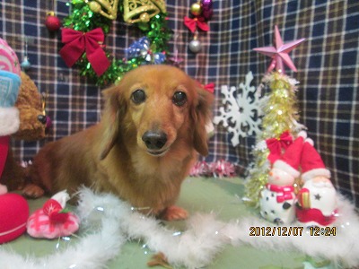 ファイル 5609-1.jpg