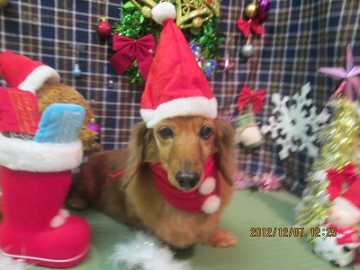 ファイル 5609-2.jpg