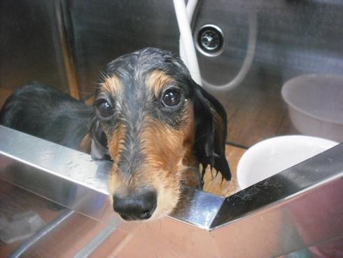 ファイル 561-2.jpg