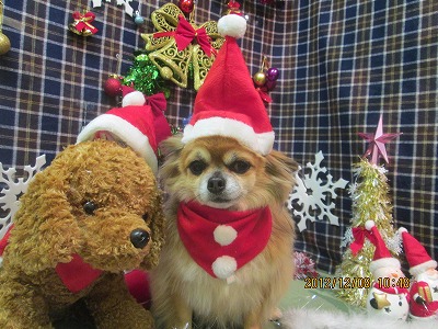 ファイル 5611-1.jpg