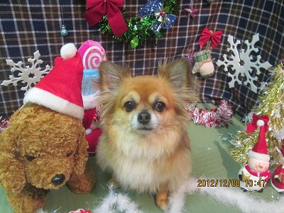 ファイル 5611-2.jpg