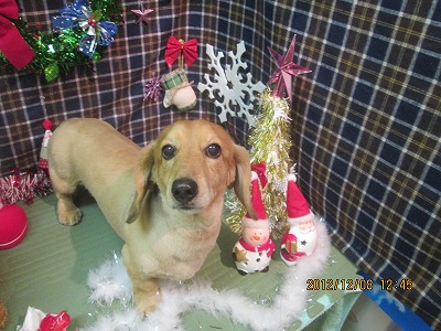 ファイル 5612-2.jpg