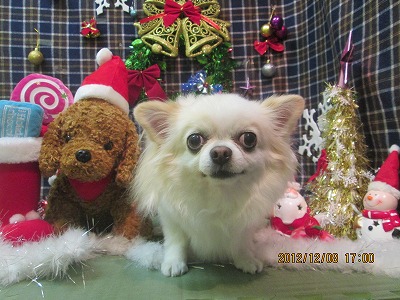 ファイル 5614-2.jpg