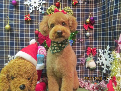 ファイル 5615-1.jpg