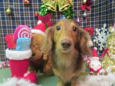 ファイル 5617-2.jpg