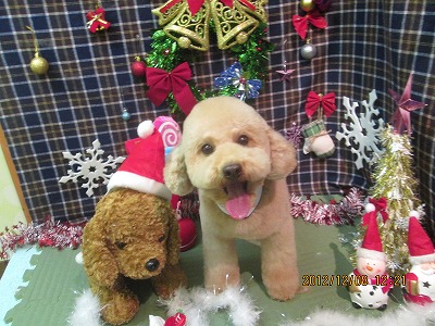 ファイル 5620-2.jpg