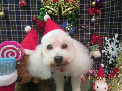 ファイル 5621-1.jpg